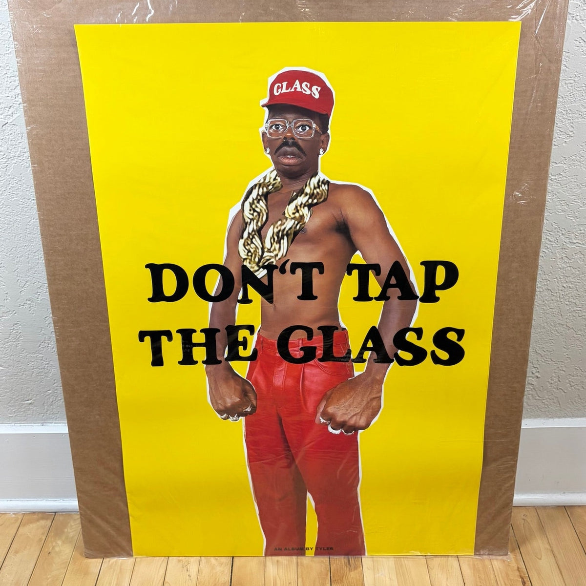Tyler The Creator Don't Tap The Glass Album Poster 24" x 36"