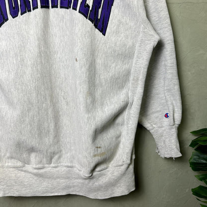 Champion Reverse Weave 90s Northwestern University 3XL Distressed Crewneck