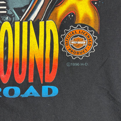 Vintage Harley Davidson Flames 1996 The Hottest Sound on the Road Medium Shirt