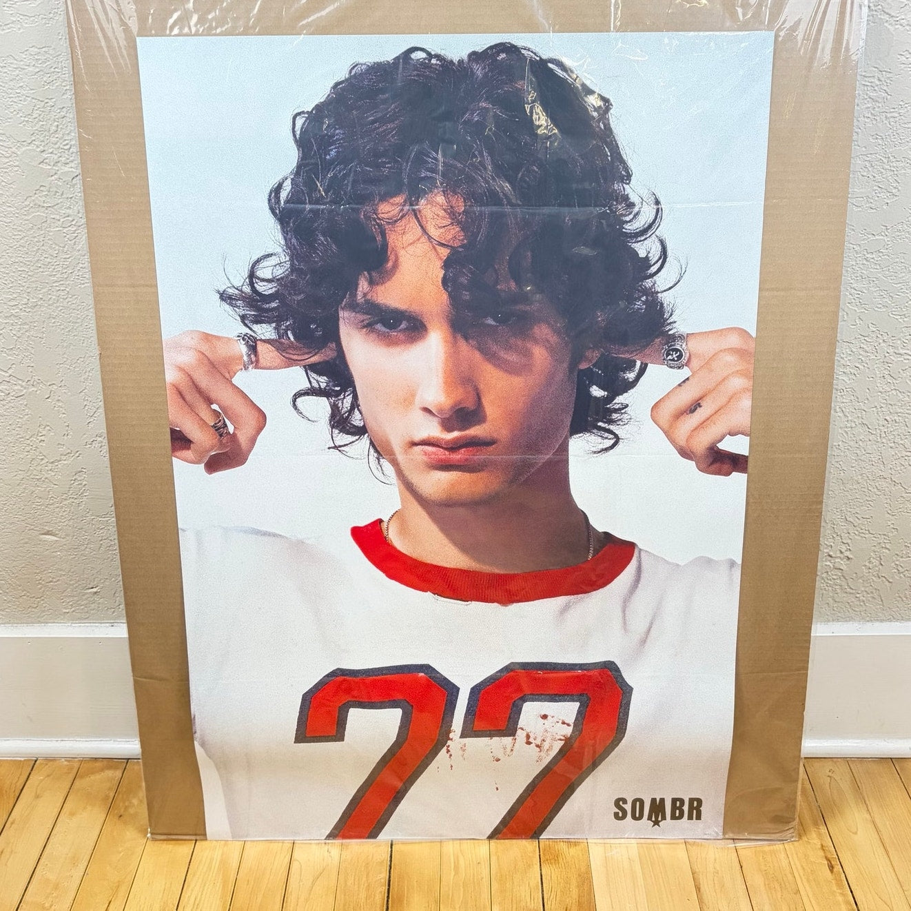 Sombr Pop Music Poster 24" x 36"