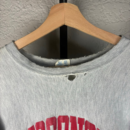 Madison Wisconsin University Champion Reverse Weave 90s XL