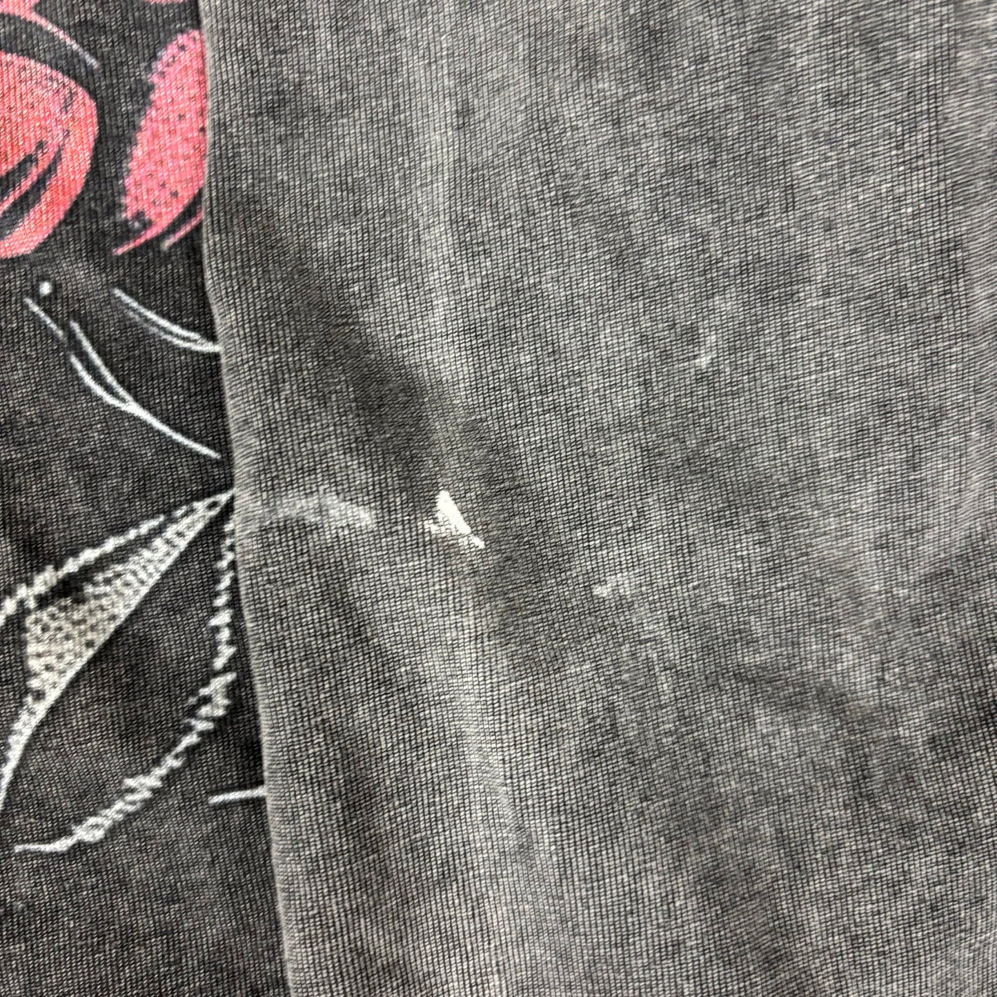 Godspeed Valentine Mainline Collection Faded Longsleeve XL