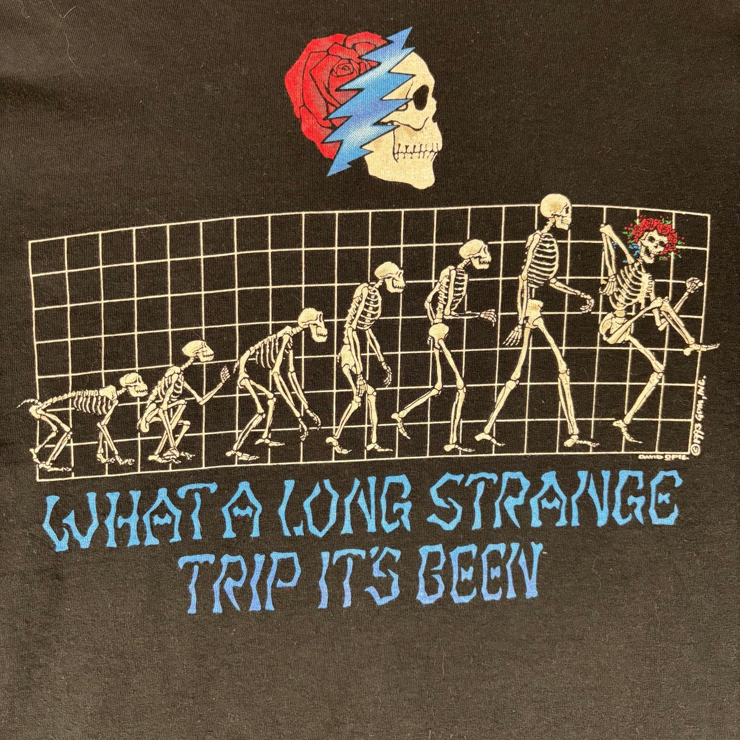 Vintage Grateful Dead Liquid Blue 1993 Evolution Long Strange Trip Shirt Large