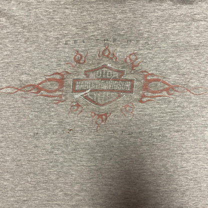 Harley Davidson Crazy 1998 Faded Feel The Heat Distressed XL Longsleeve