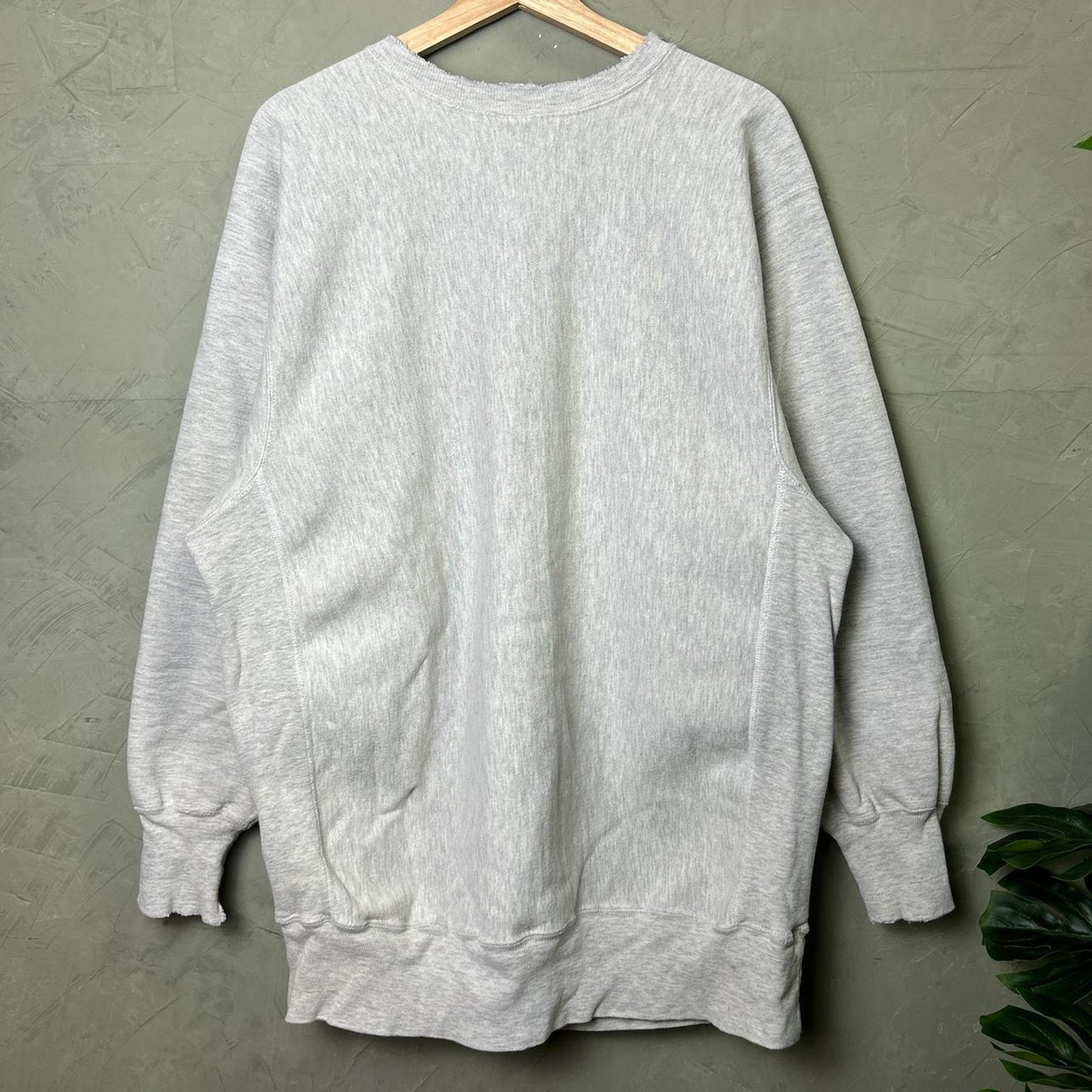 Champion Reverse Weave 90s Northwestern University 3XL Distressed Crewneck