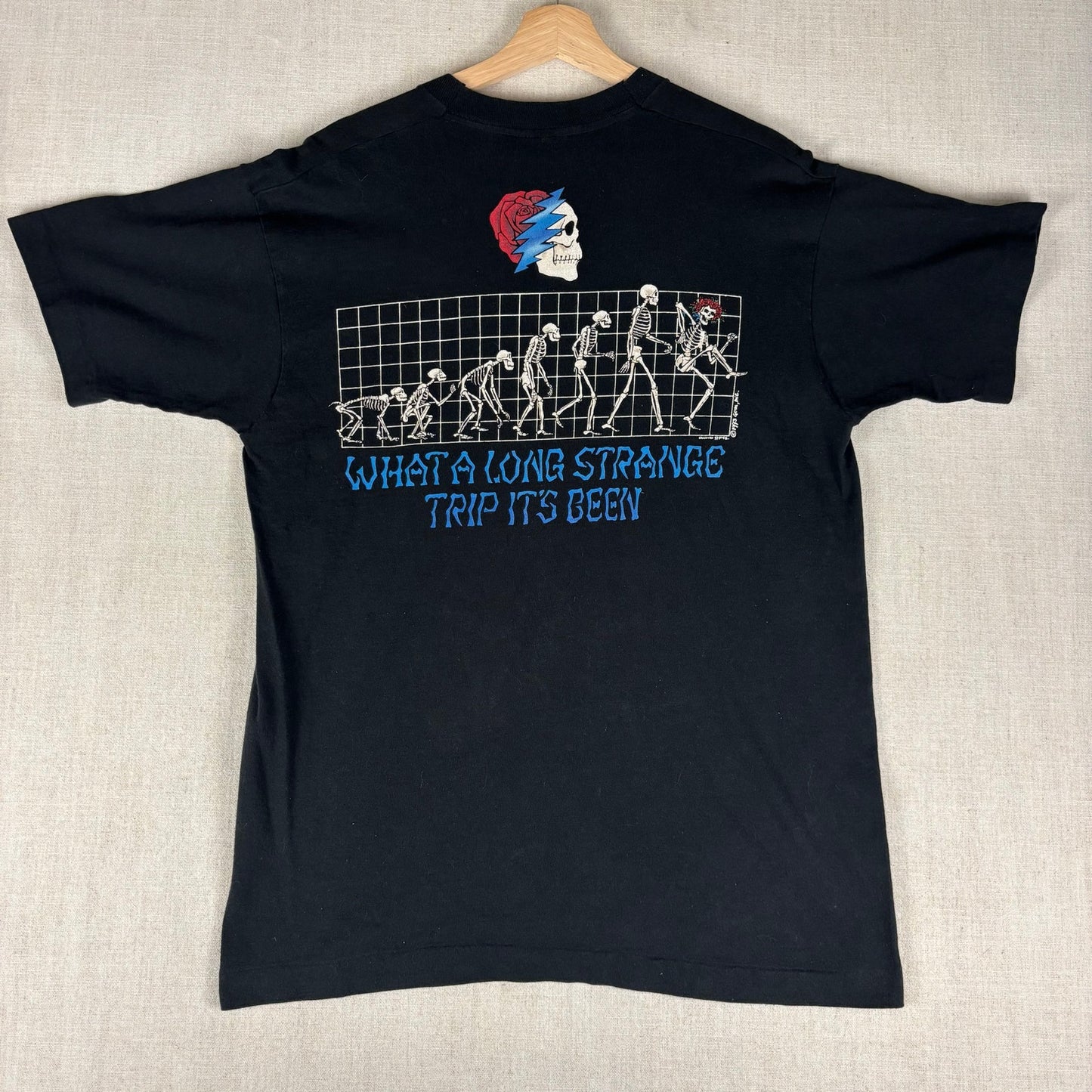 Vintage Grateful Dead Liquid Blue 1993 Evolution Long Strange Trip Shirt Large