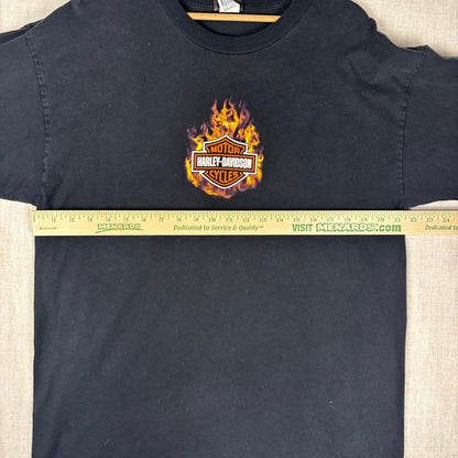 Harley Davidson Flame Longsleeve Made in USA 2007 Y2K XL Spellout Shirt