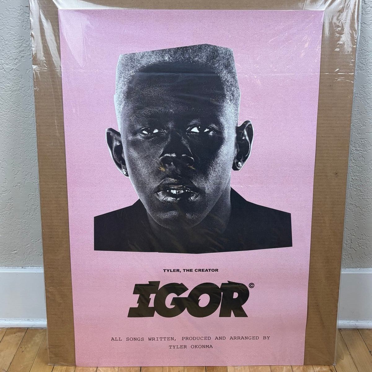Tyler The Creator IGOR Album Poster 24" x 36"