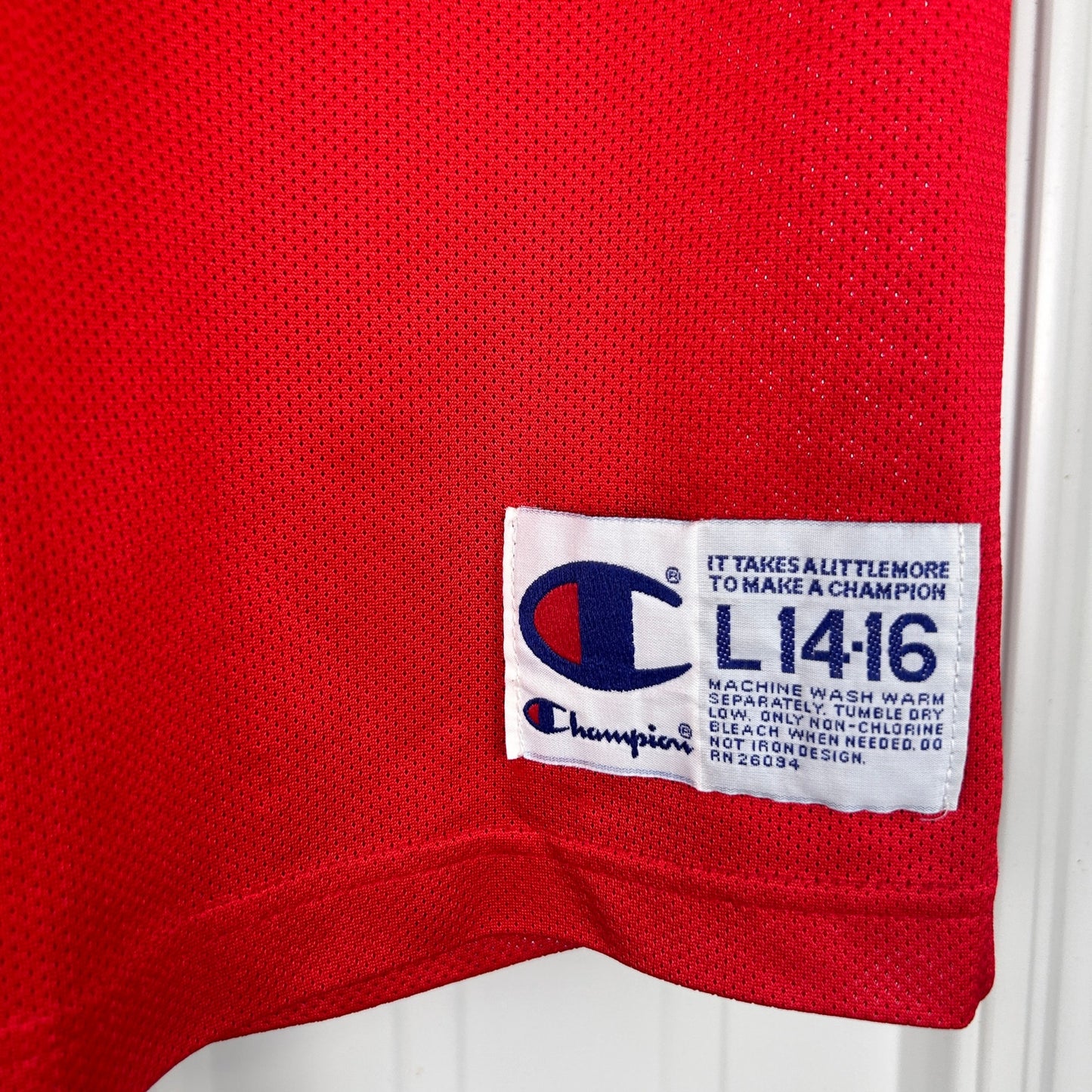 Signed Dennis Rodman 90s Champion Chicago Bulls Youth L 14-16 Jersey