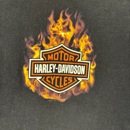 Harley Davidson Flame Longsleeve Made in USA 2007 Y2K XL Spellout Shirt